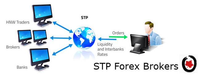 STP Forex Brokers Canada